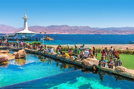Turistas en el oceanográfico junto al Mar Rojo