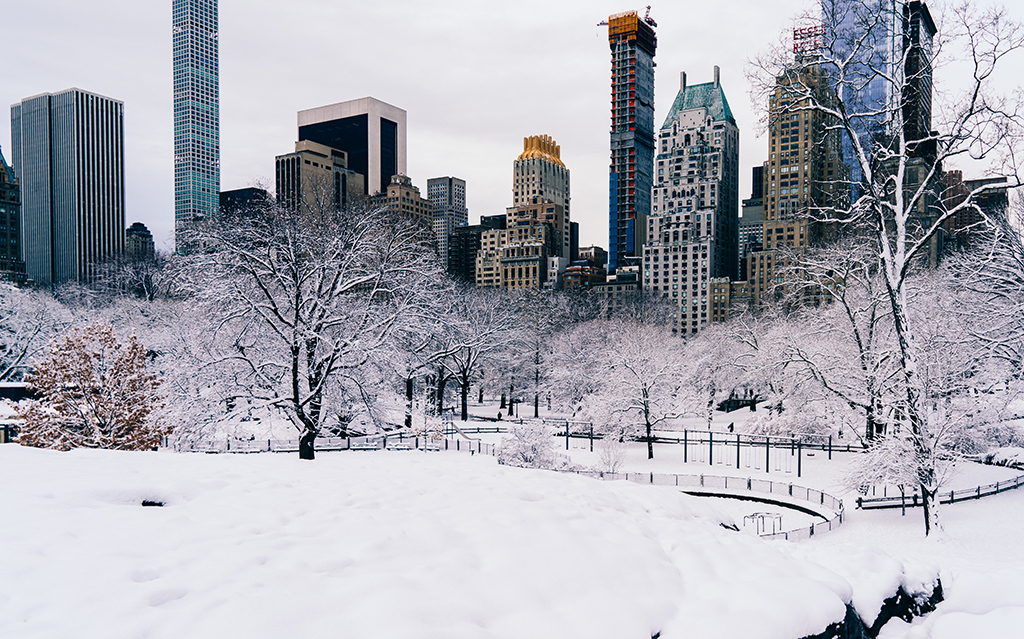 Nueva York nevado