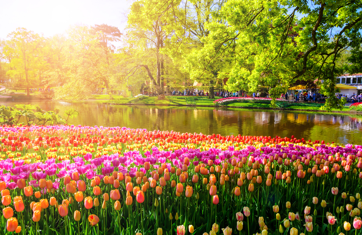 Parque Keukenhof, Países Bajos